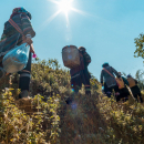 Sapa Tours