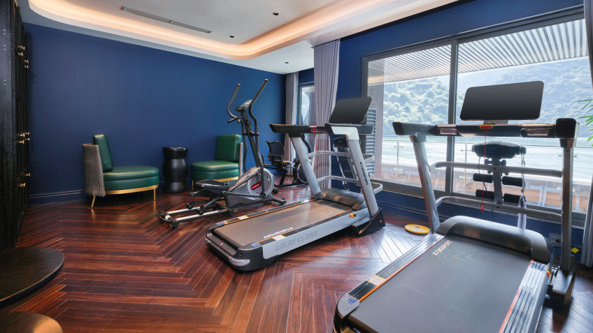 Elite of the Seas Cruise: Indoor Gym For Exercising