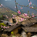 Ha Giang Tours